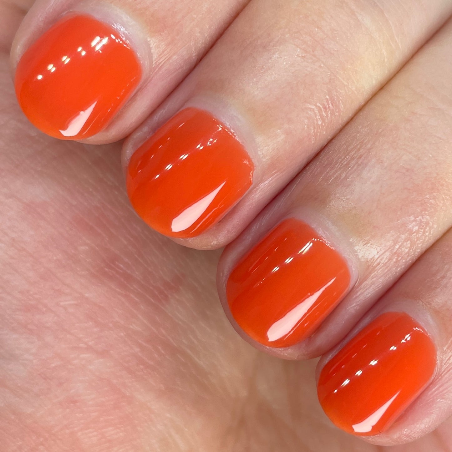 24 Carrots
