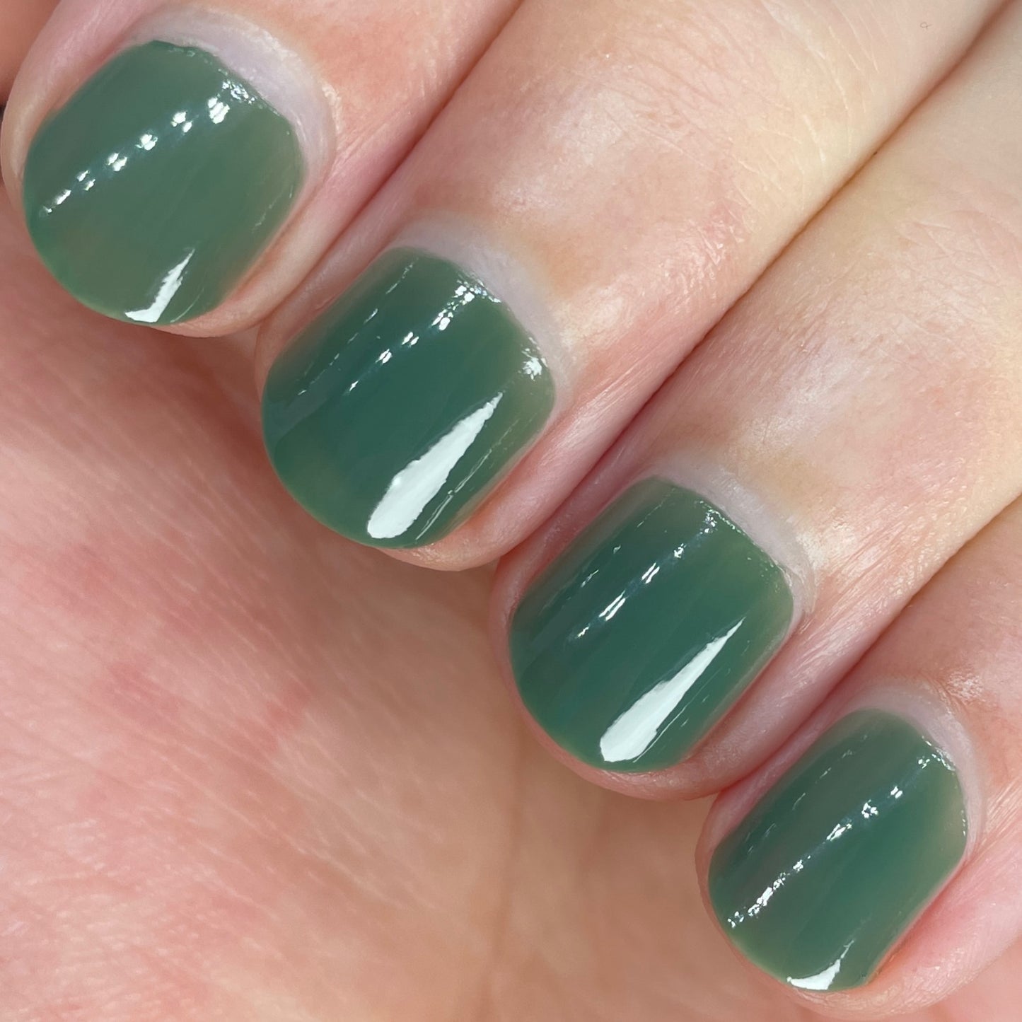 Spruce It Up