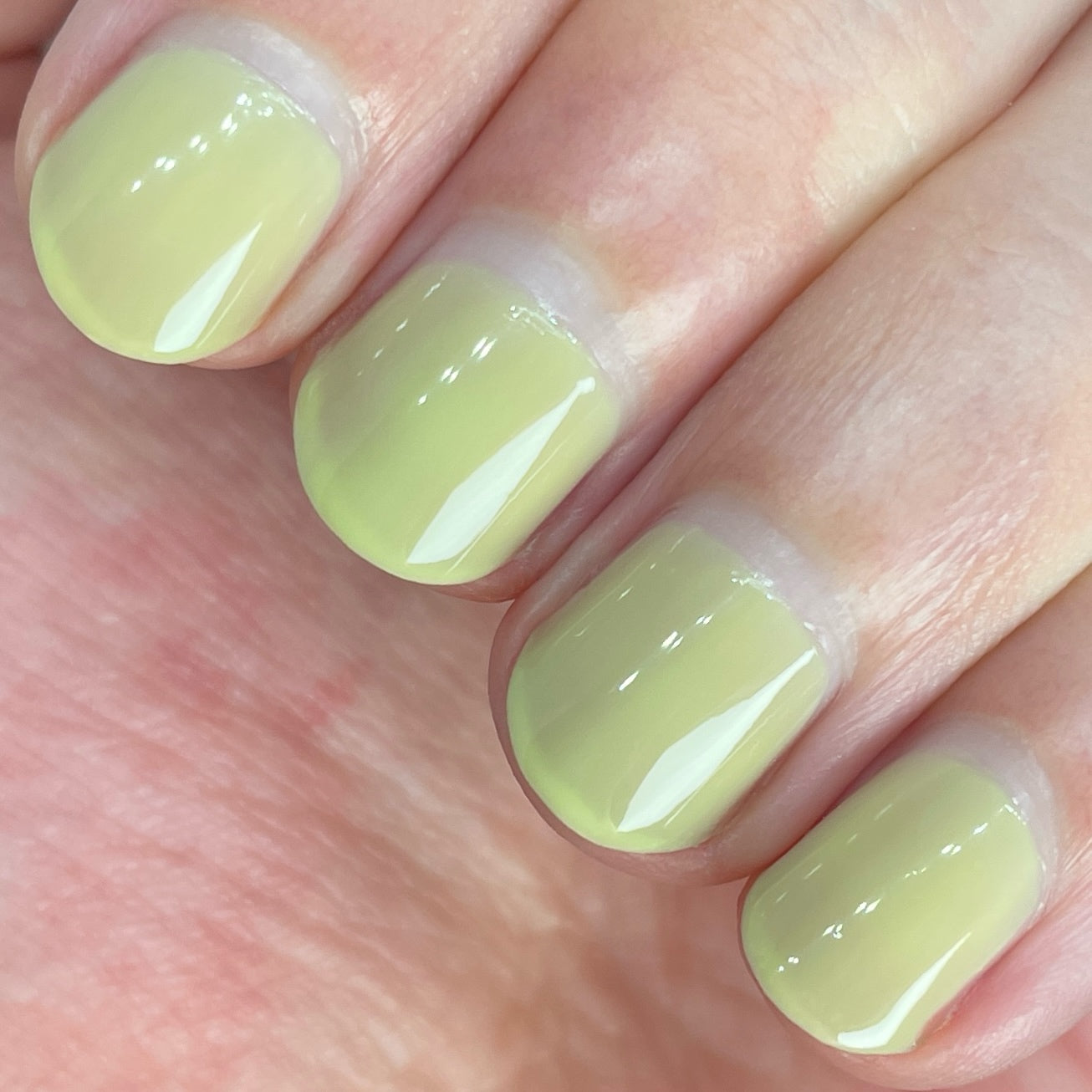 Honeydew