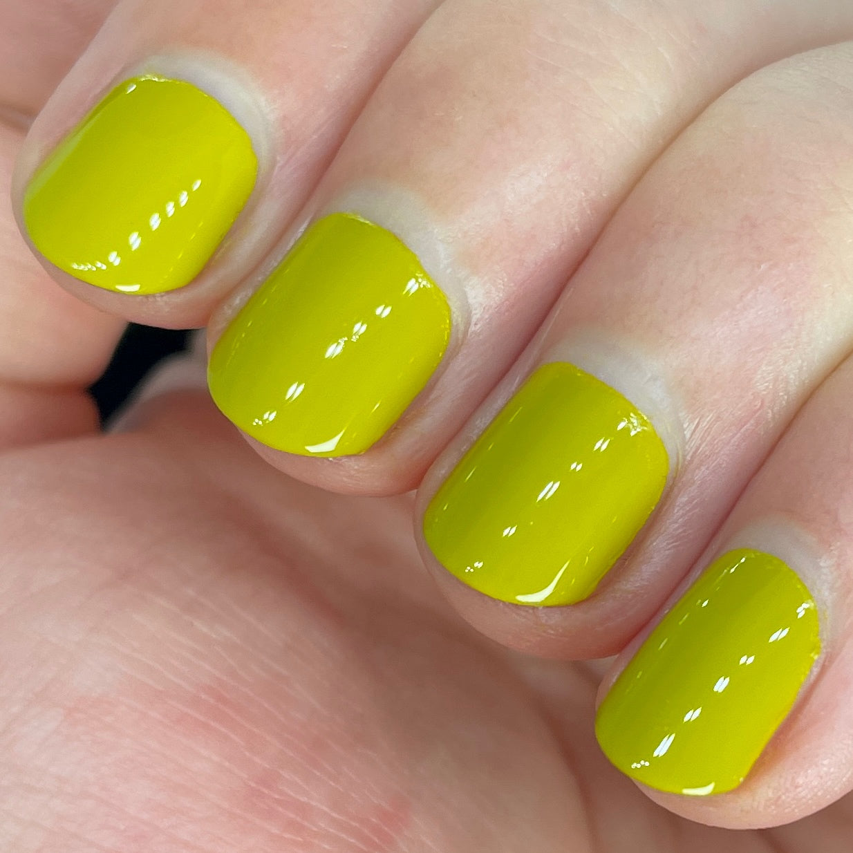 Pickle Plate