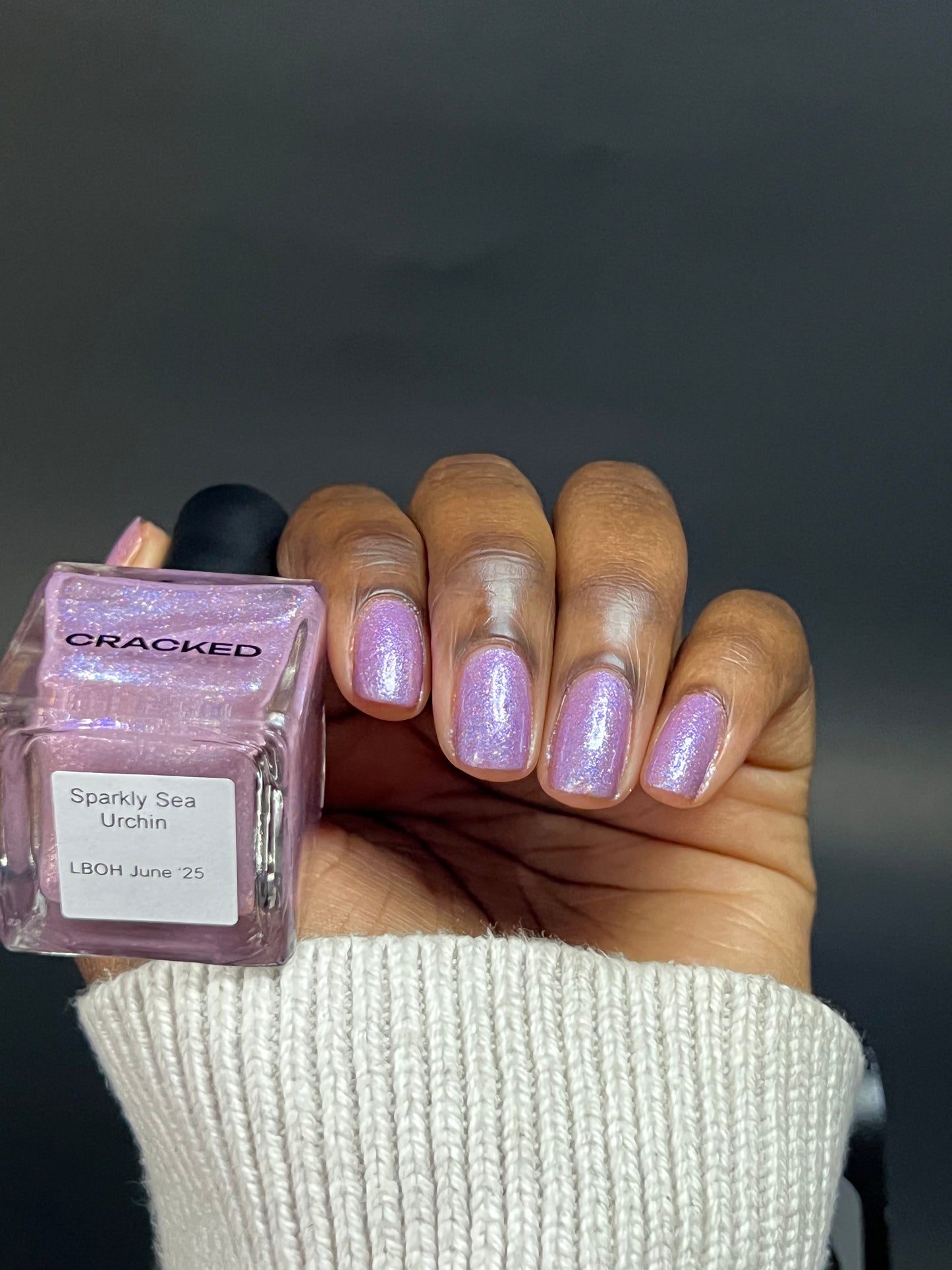 Sparkly Sea Urchin LBOH