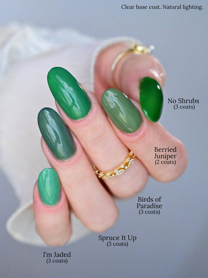 Spruce It Up