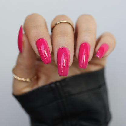 Back To The Fuchsia