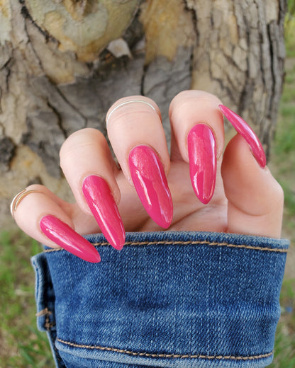 Back To The Fuchsia