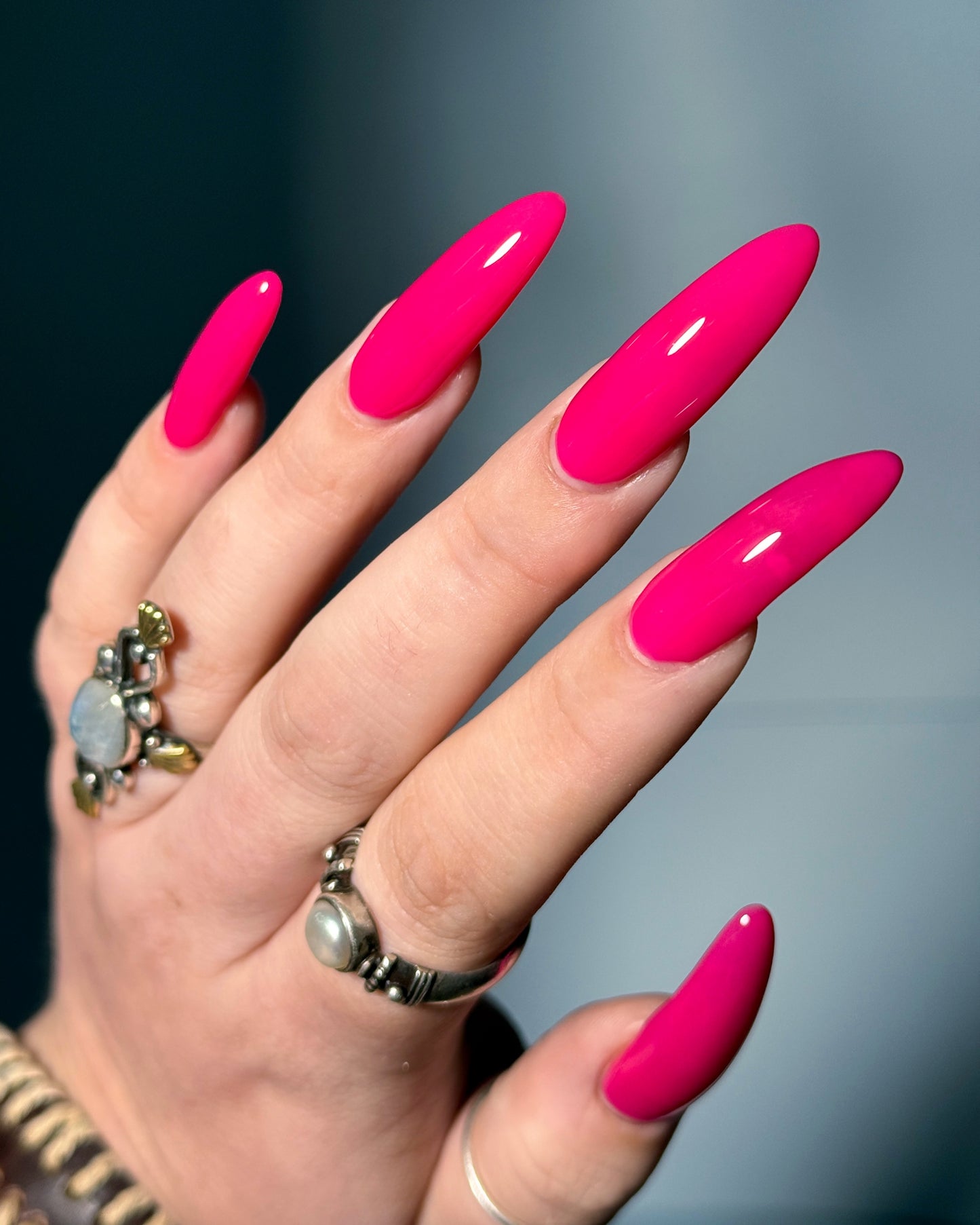 Back To The Fuchsia