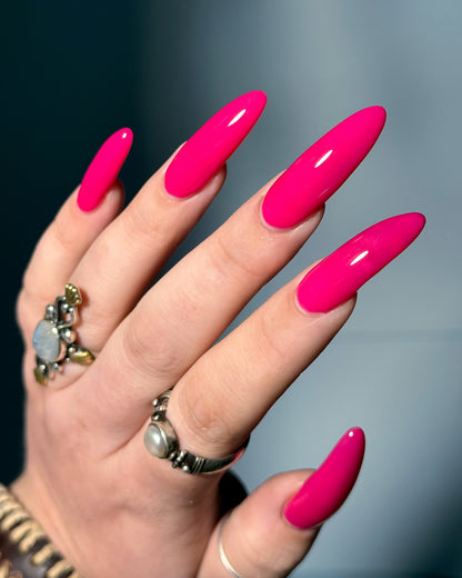 Back To The Fuchsia