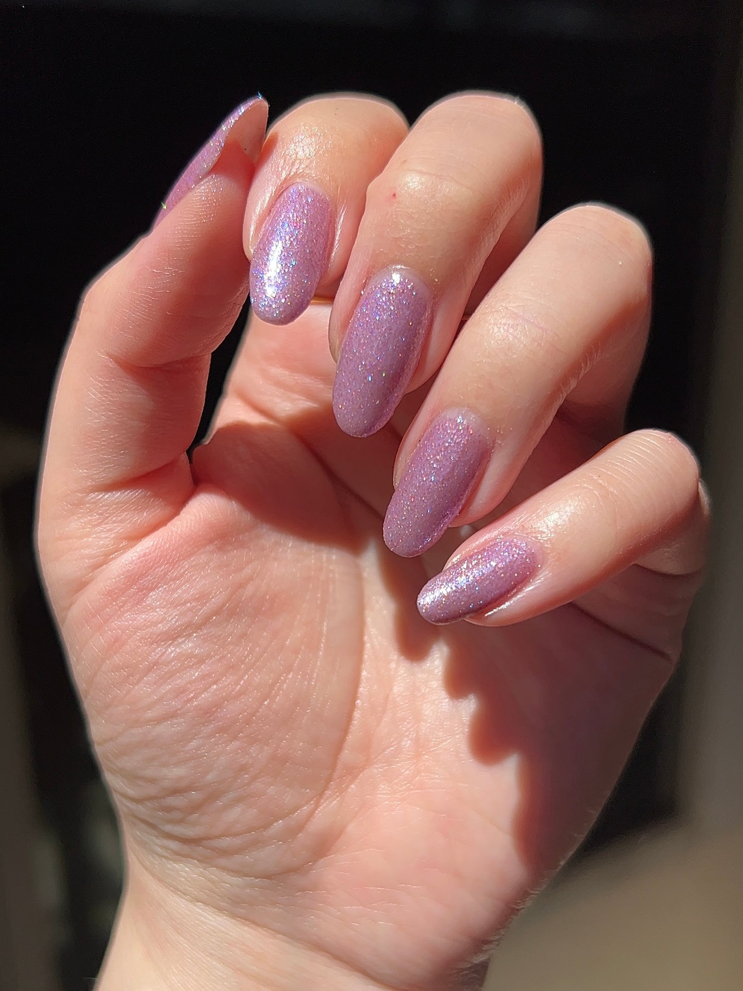 Sparkly Sea Urchin LBOH