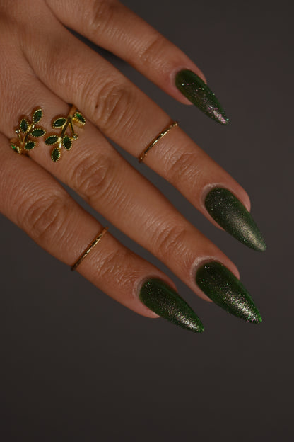 Past, Present, Future LBOH