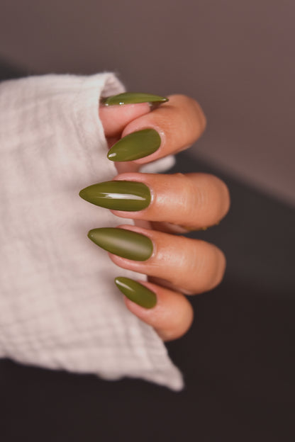 Moss Draped