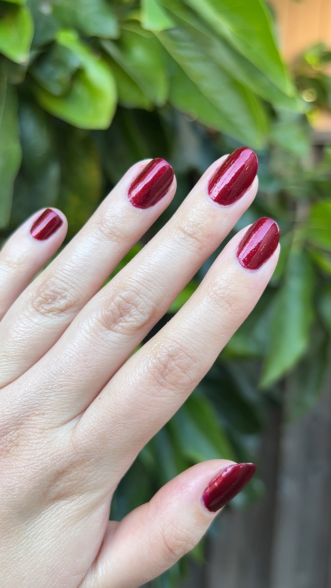 Crimson Ecstasy - Cracked Polish