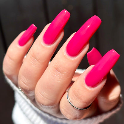 Back To The Fuchsia