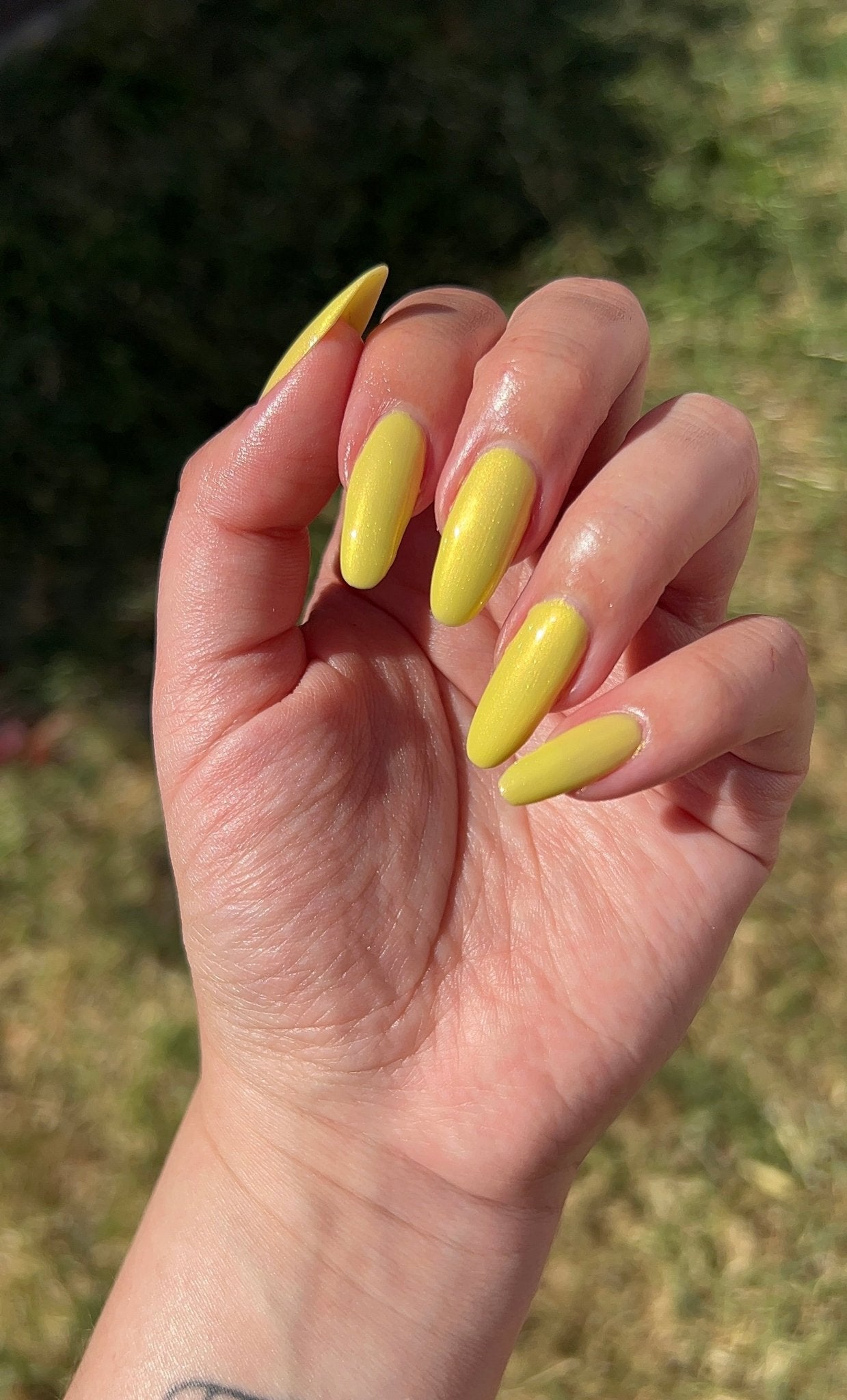 Lemon Brain - Cracked Polish