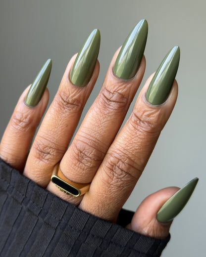 Moss Draped