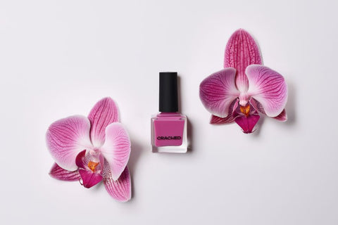 JOTM: Out Of The Orchid-nary