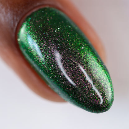 Past, Present, Future LBOH