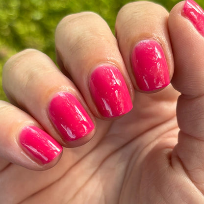 Back To The Fuchsia