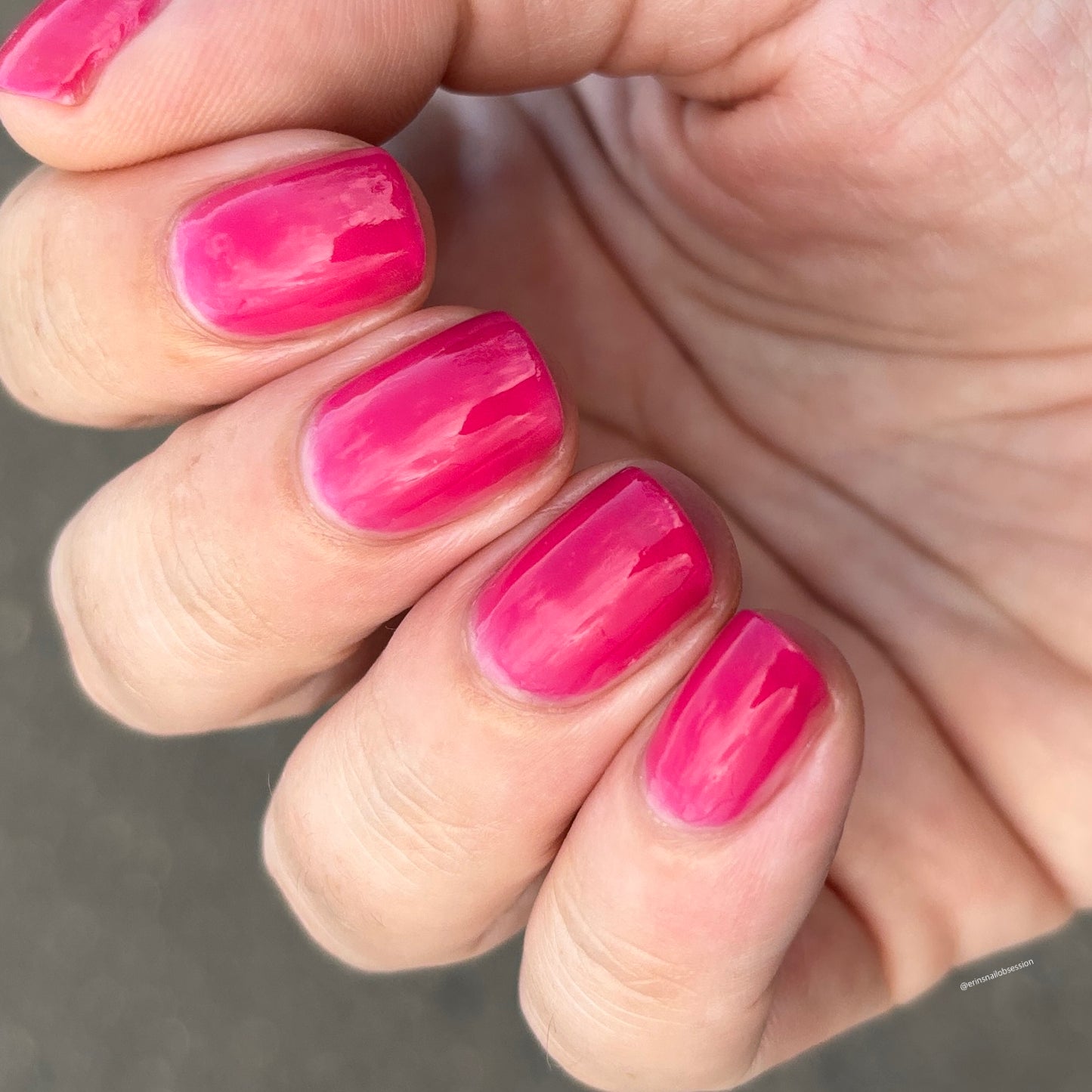 Back To The Fuchsia