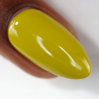 Pickle Plate