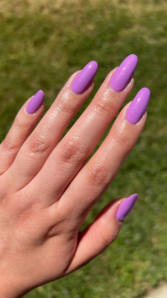 Purple Beardtongue - Cracked Polish